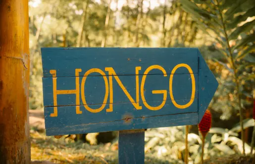 cabaña-de-HONGO.fuera