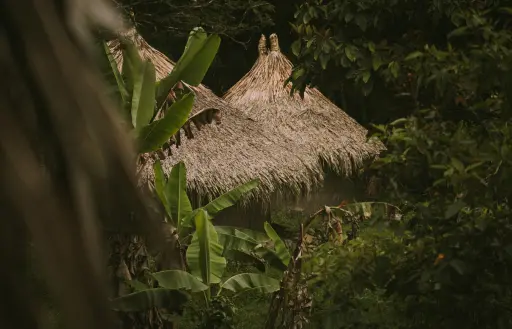 Malocas indígenas en Tierra de Agua, espacios ancestrales destinados a preservar tradiciones y realizar rituales de sanación.